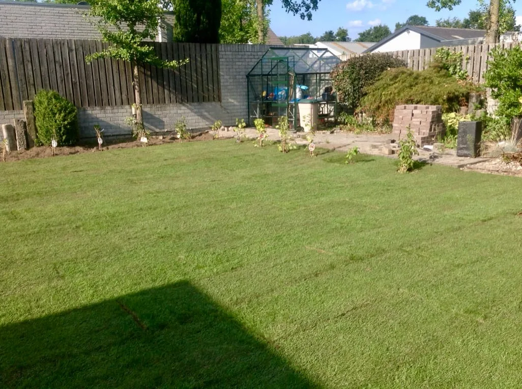 Graszoden aanleggen 240 m2 Bladel