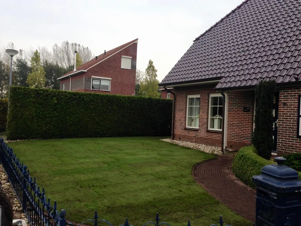 Graszoden Nieuw-Buinen