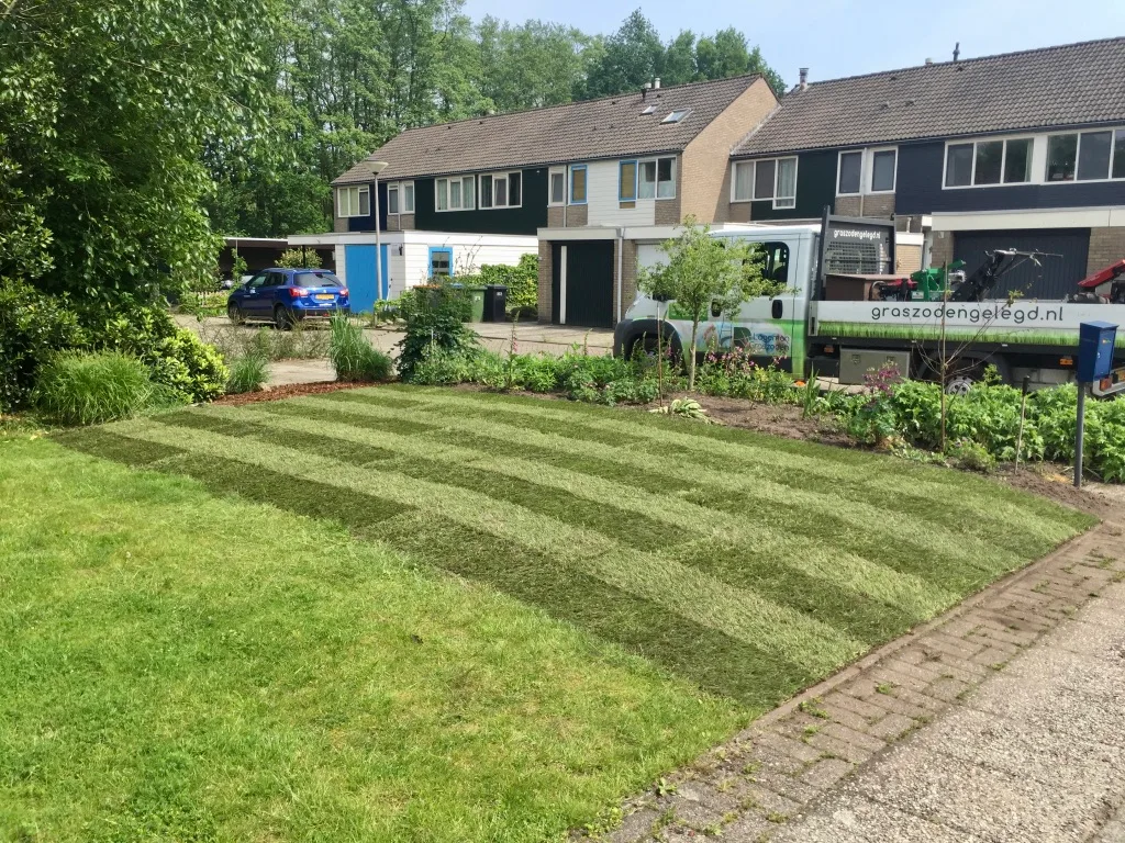 Graszoden aanleggen Assen