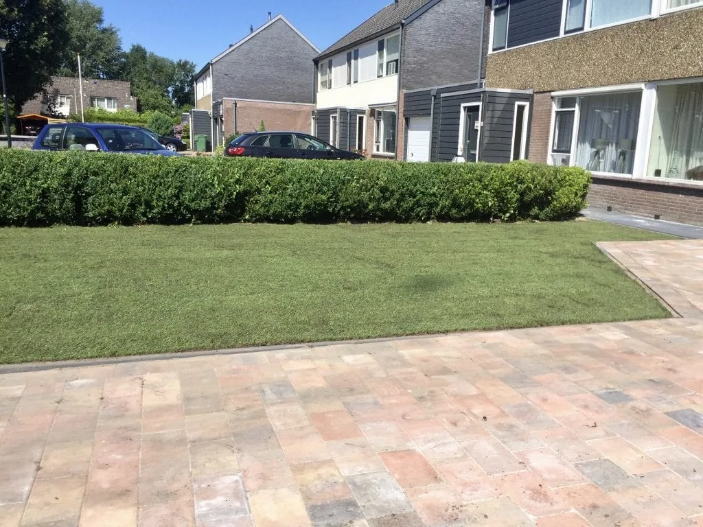 Onderhoudsvriendelijk tuin met graszoden in Winschoten