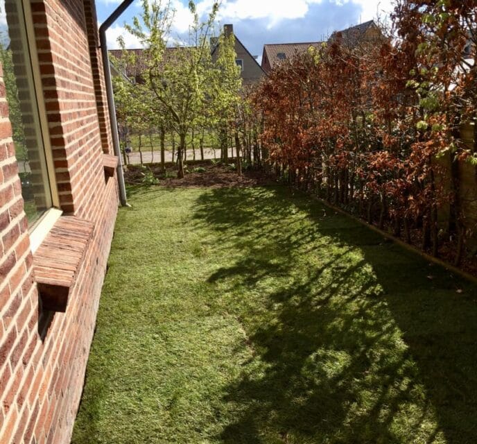 Graszoden aanleggen Dokkum