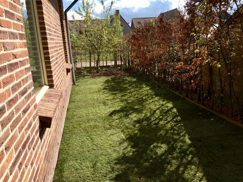 Graszoden aanleggen Dokkum