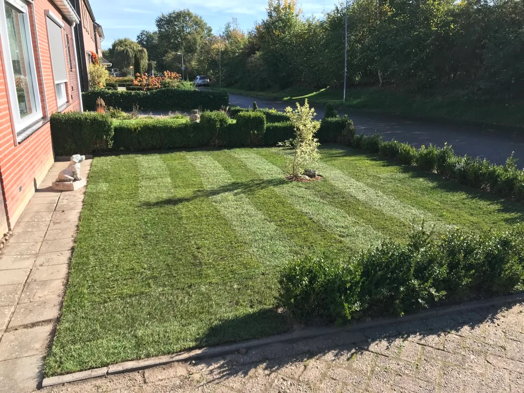 Graszoden aanleggen Havelte