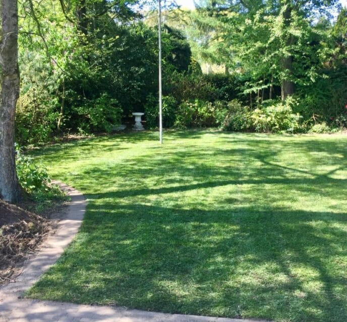 Graszoden aanleggen in Arnhem