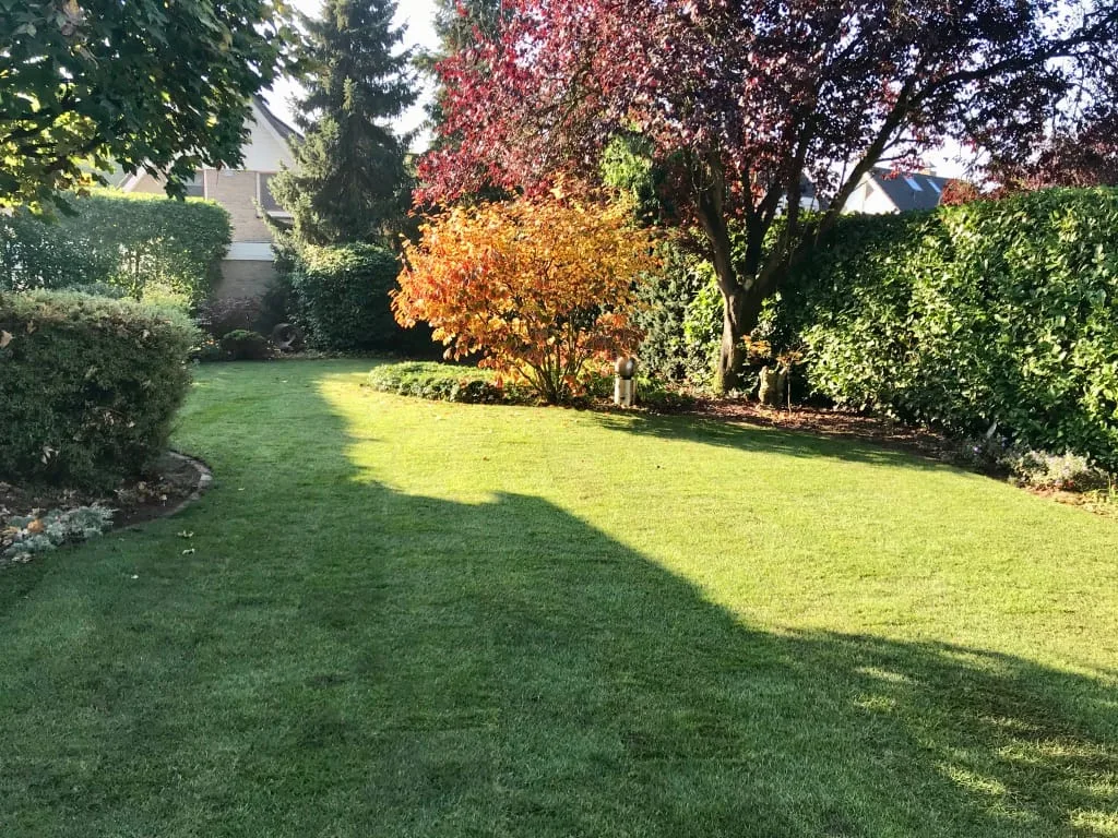 Graszoden verwijderen Colmschate