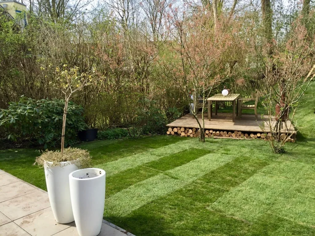 Speels gazon Groningen