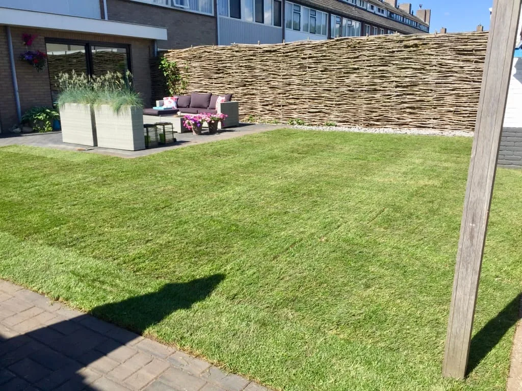 Graszoden leggen Ommen