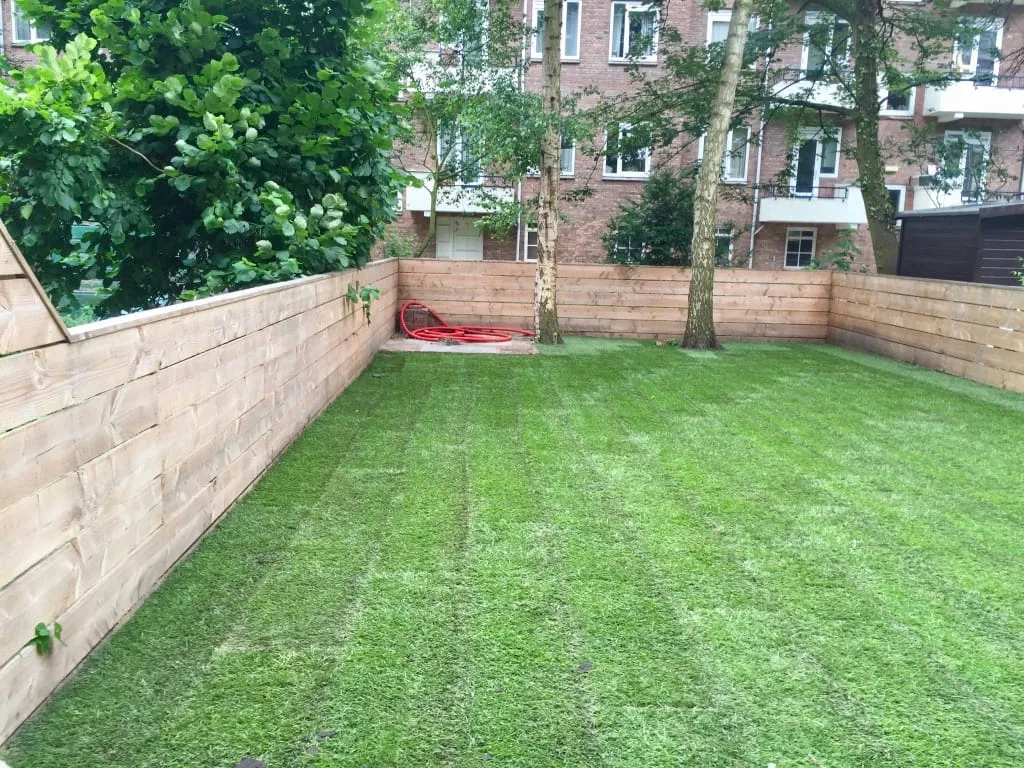 Graszoden leggen Amsterdam