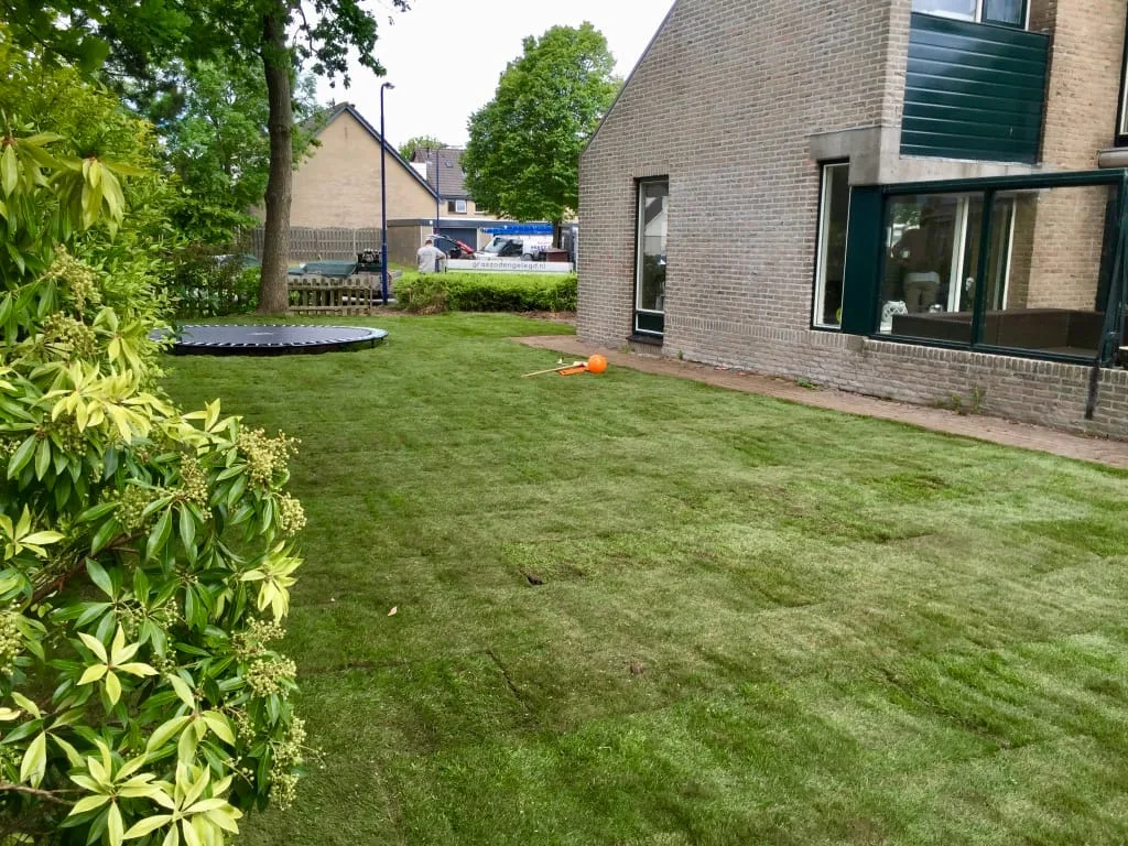 Graszoden leggen Franeker