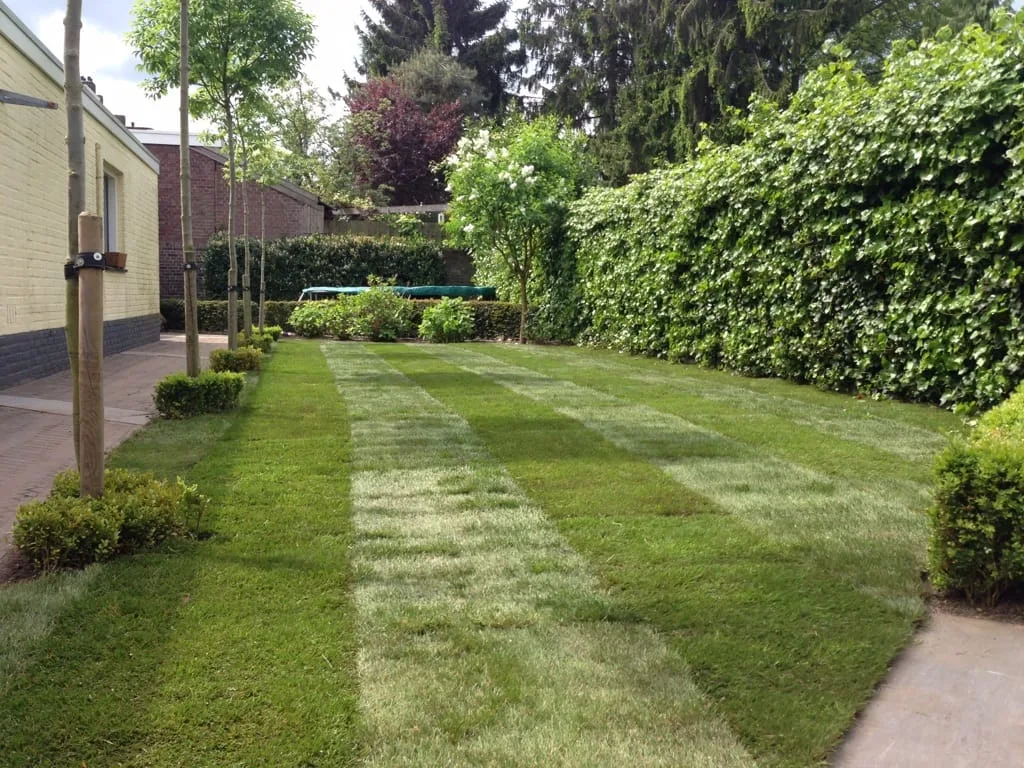 Graszoden leggen Hengelo