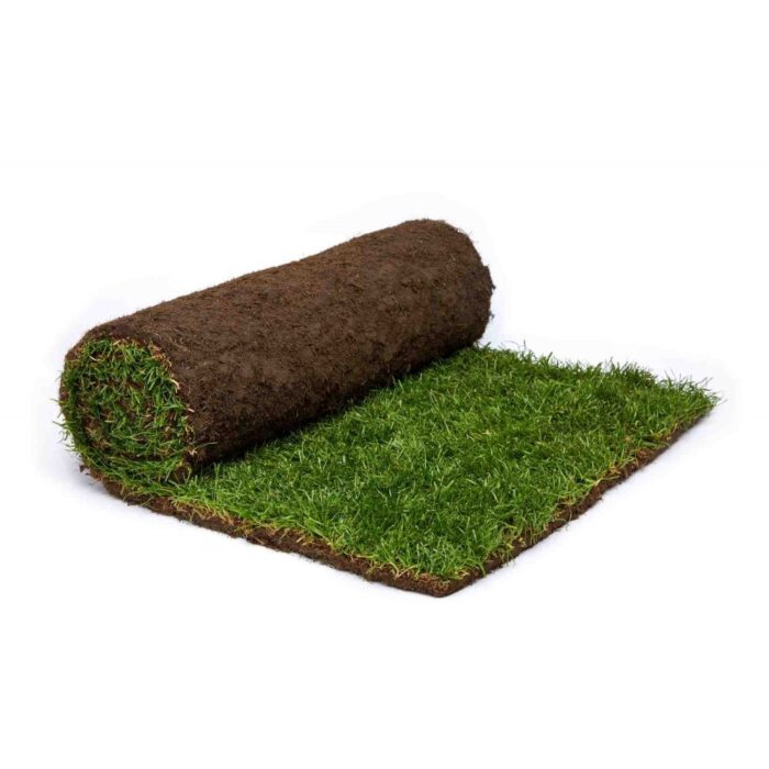 graszoden prijzen