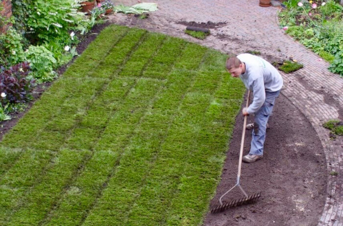 Nieuwe graszoden met een afgerond lijnenspel