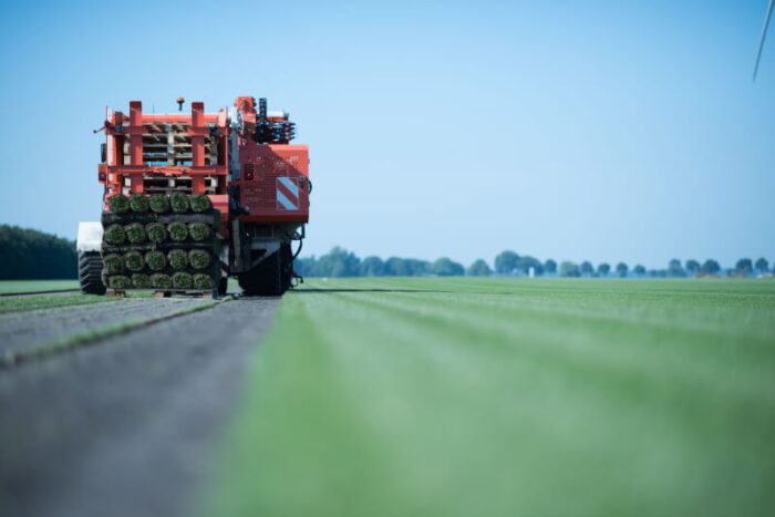 graszoden op voorraad