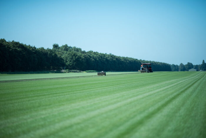 Oogsten van de graszoden