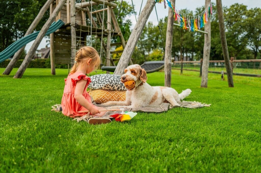 Hond ligt ontspannen op een pas gelegd gazon terwijl een kind ernaast speelt