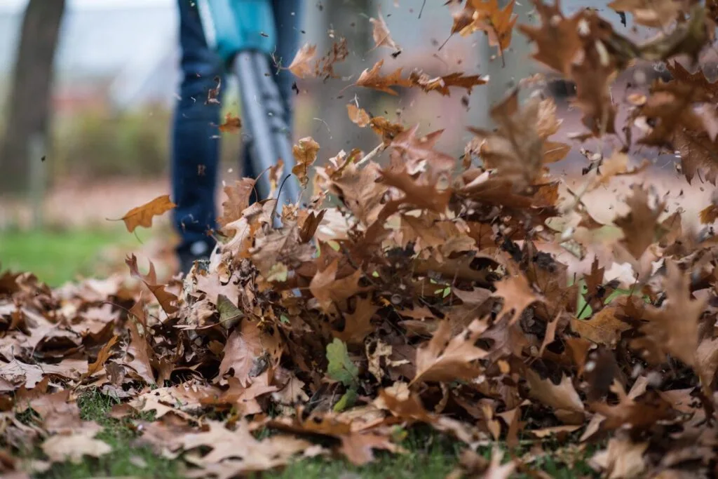 Close-up van bladblazer in actie met herfstbladeren