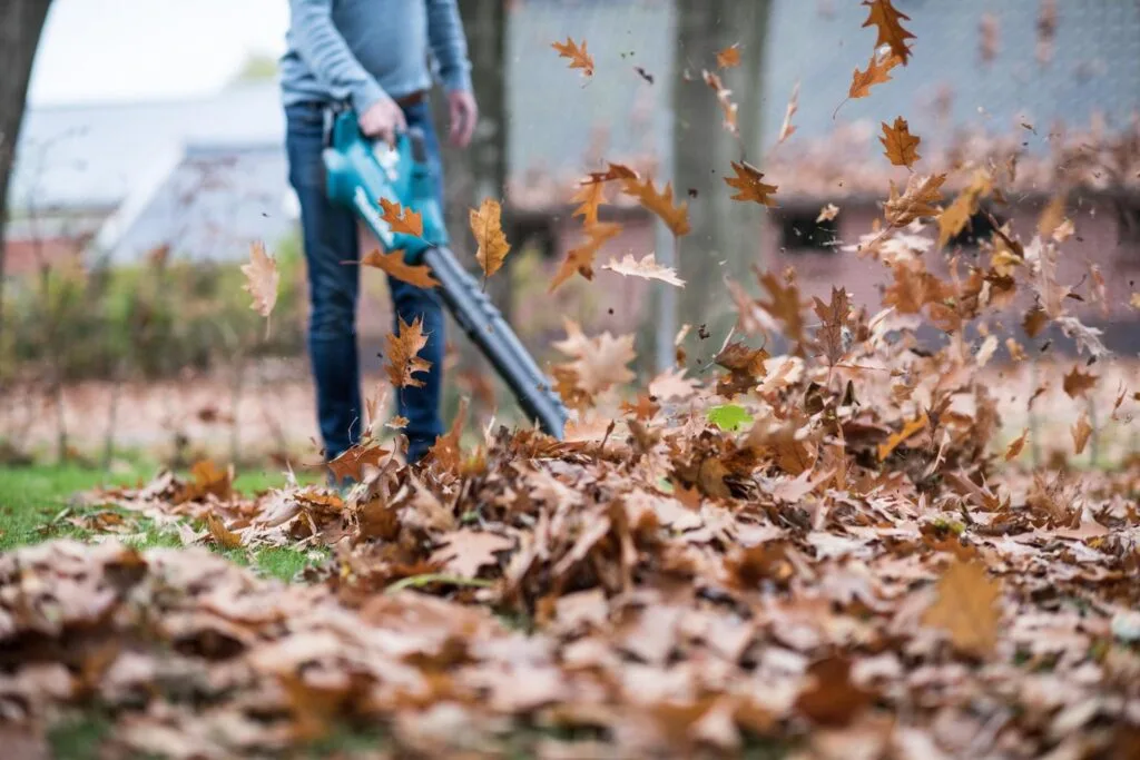 Man met bladblazer blaast herfstbladeren op gras
