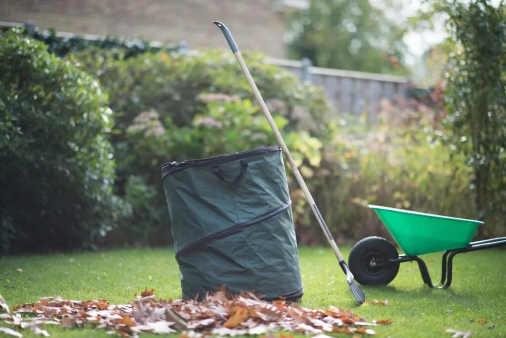 Bladeren harken op het gazon met een kruiwagen en afvalzak voor tuinafval