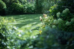 Schaduw over groene graszoden in tuin