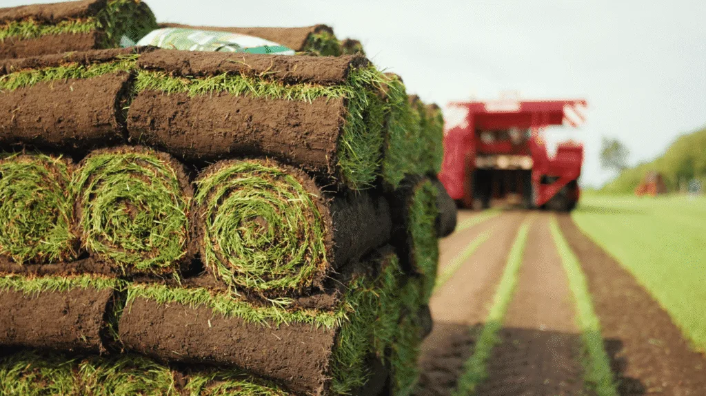 Vrachtwagen wordt geladen met graszoden op grasveld