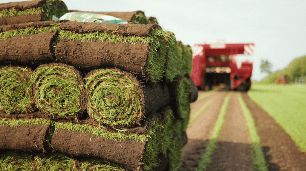 Vrachtwagen van Graszodenkopen.nl met graszoden