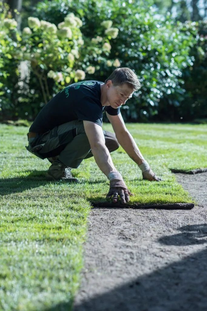 Man walt nieuw aangelegde graszoden in tuin