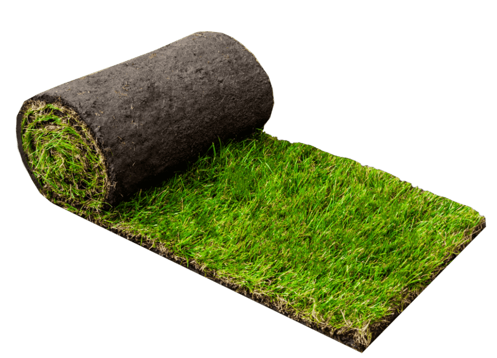 Een grasrol zonder achtergrond van Graszodenkopen.nl