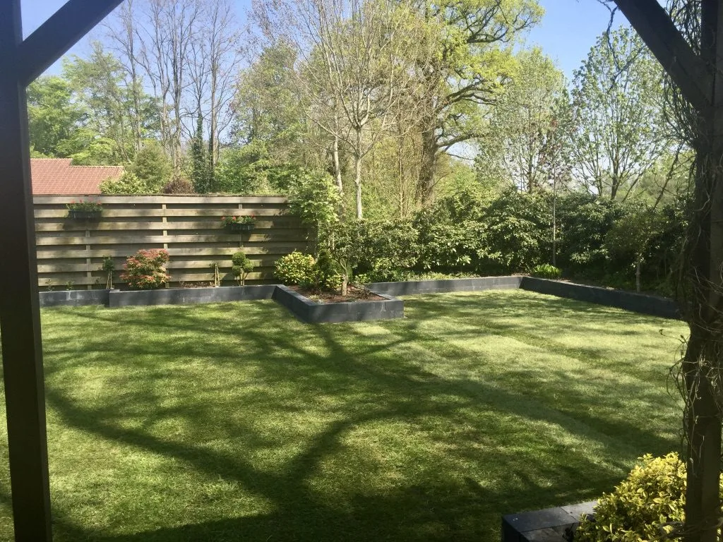 Graszoden aanleggen in strakke tuin in Tubbergen