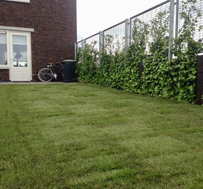 Graszoden leggen in nieuwbouw Zwolle