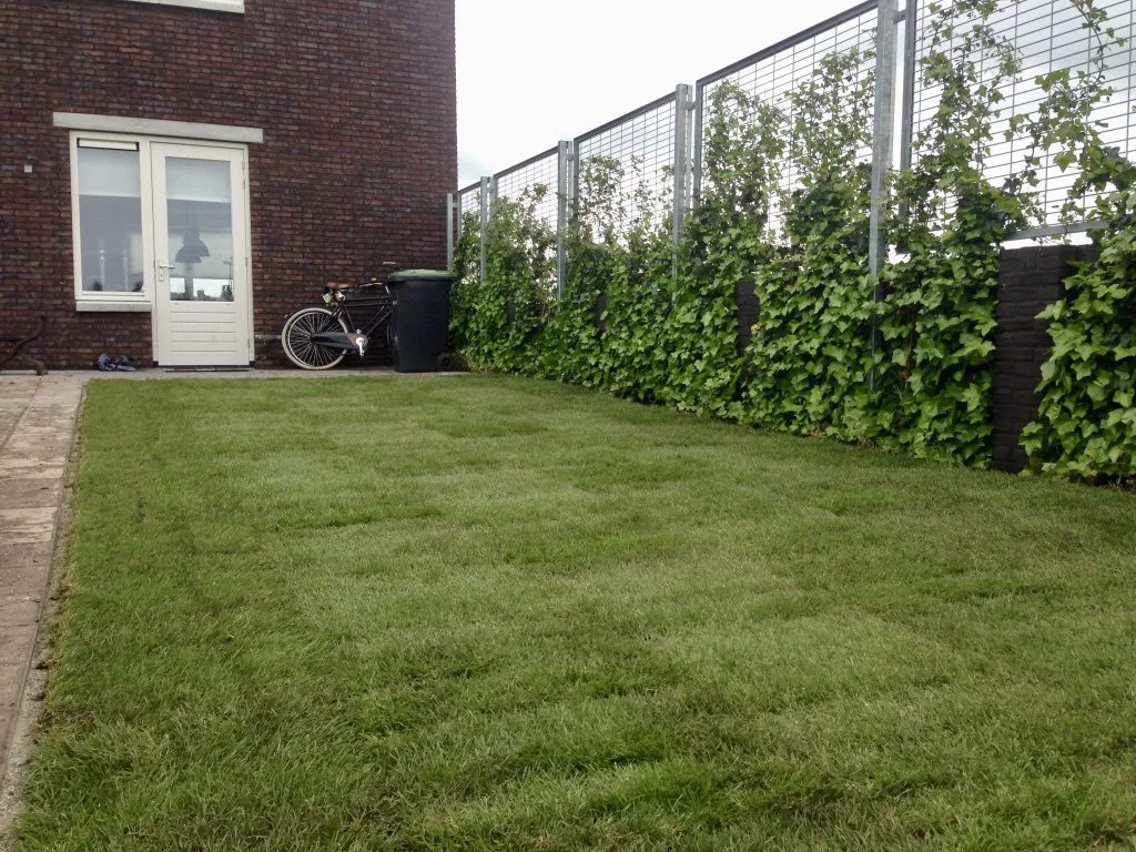 Graszoden leggen in nieuwbouw Zwolle