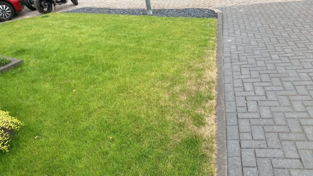 Gele plekken gazon van boven