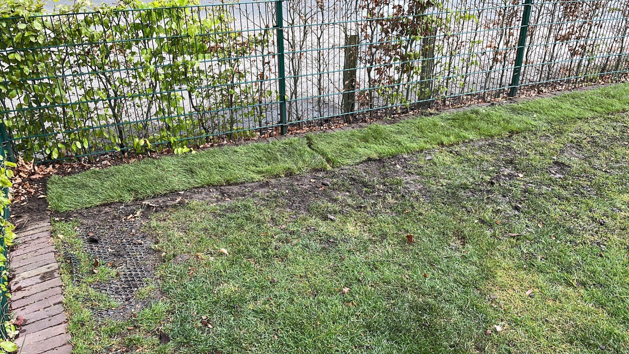 Gazon met onkruidplekken