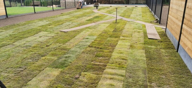 Voorbeeld van aanlegfouten bij het leggen van graszoden