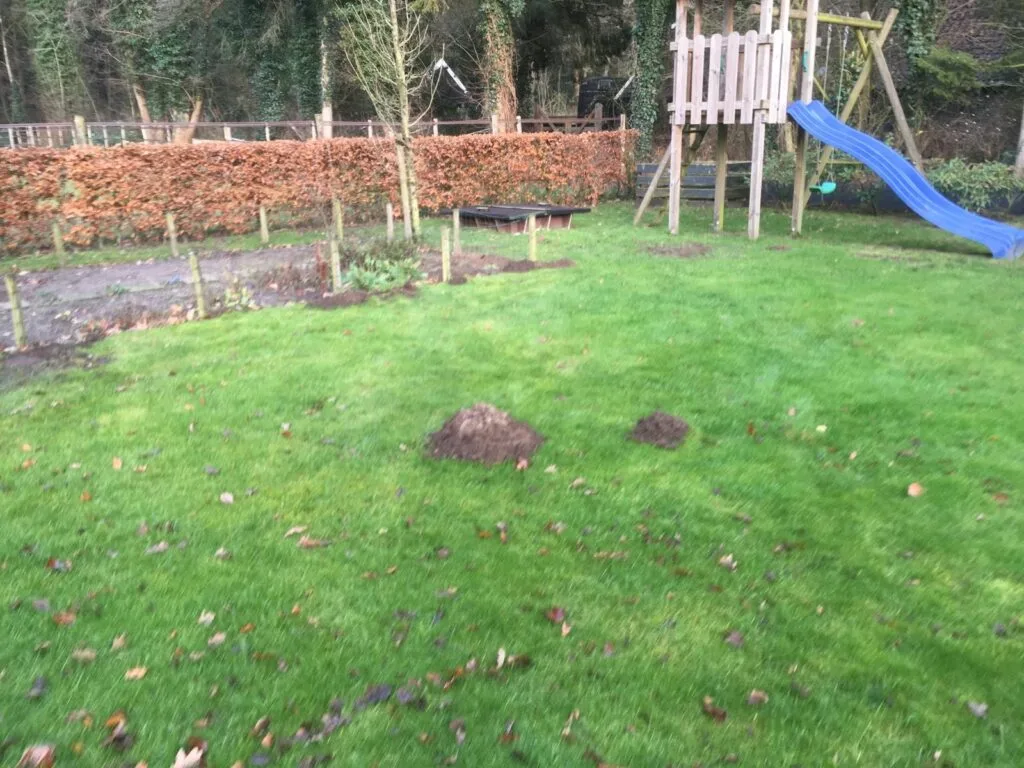 Molshopen gazon tuin
