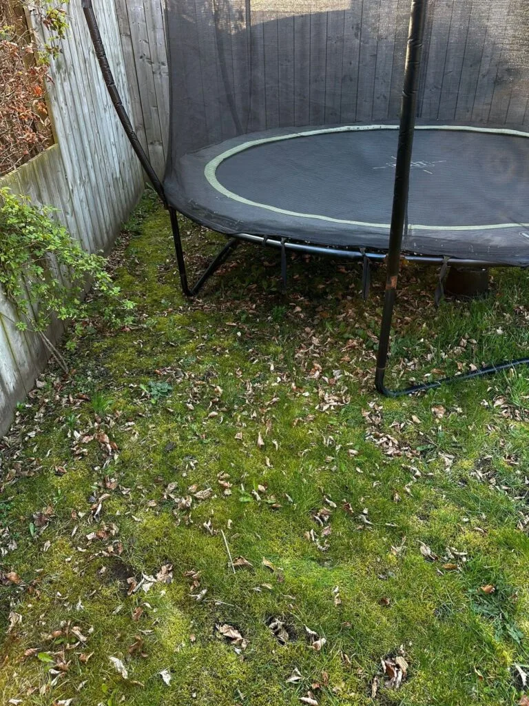 Mos in gazon bij trampoline