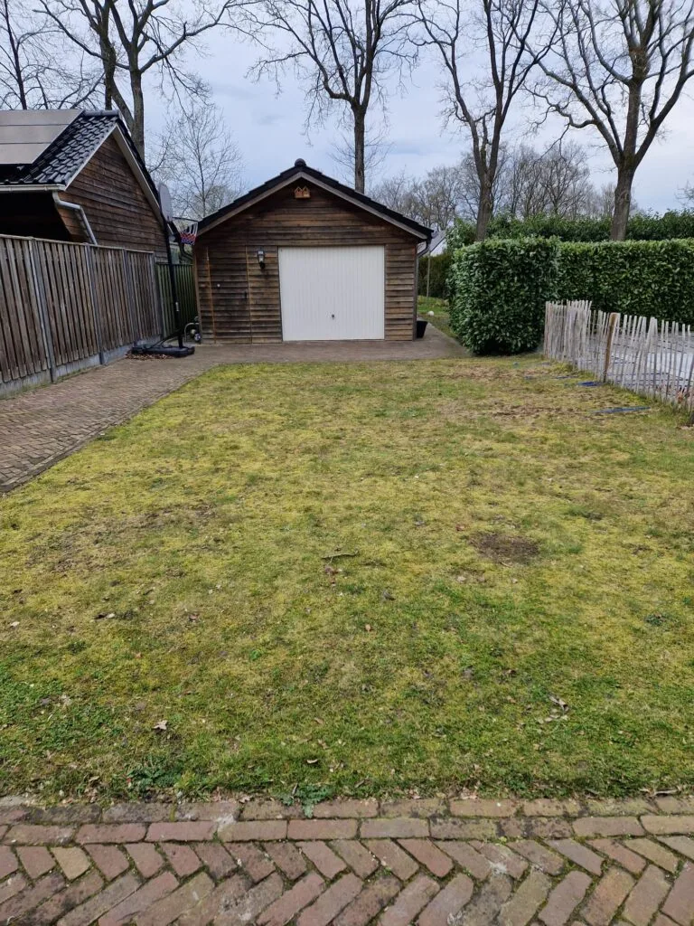 Schaduw gazon met mos