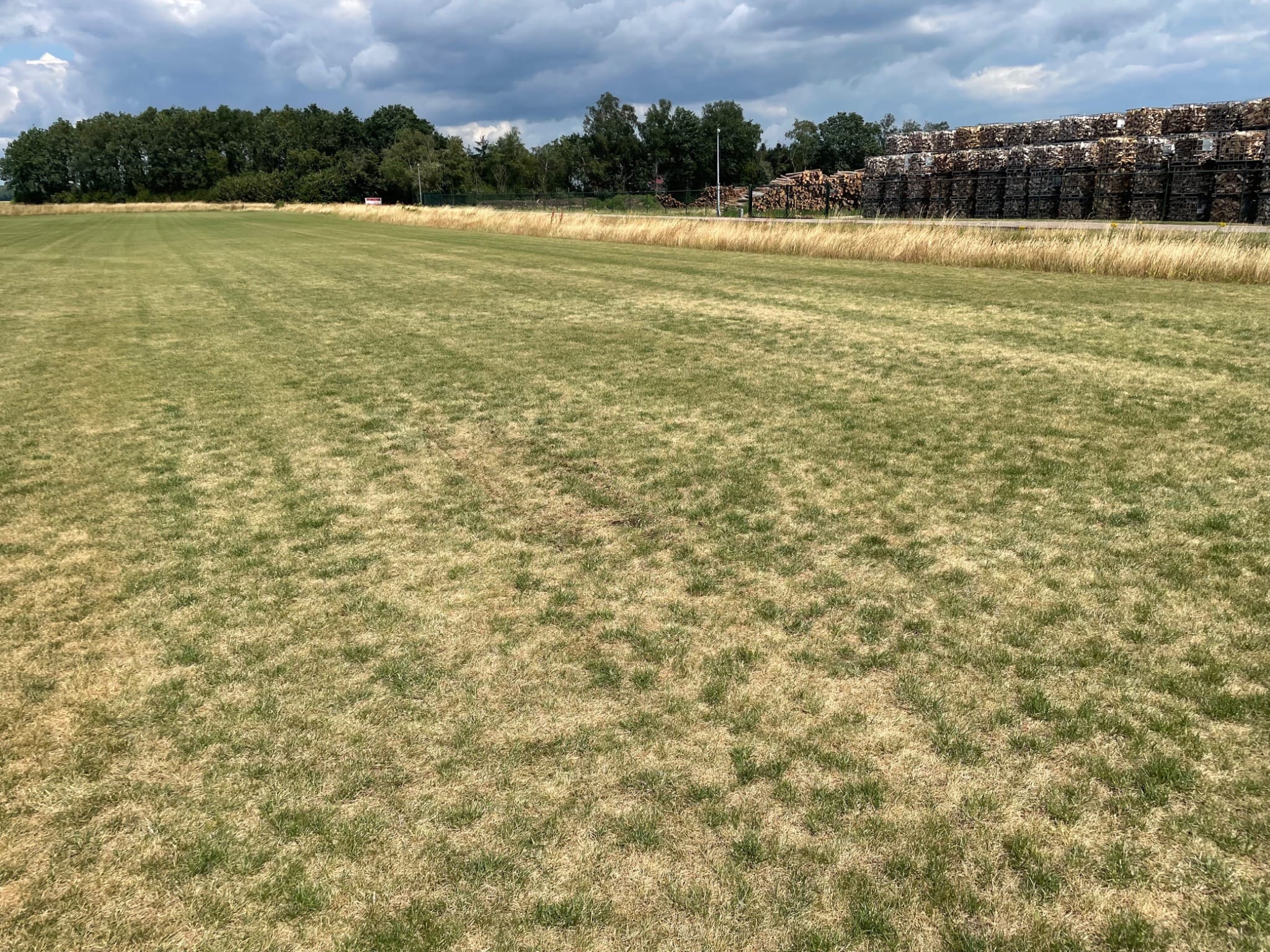Nieuwe graszoden worden geel: oorzaken en oplossingen
