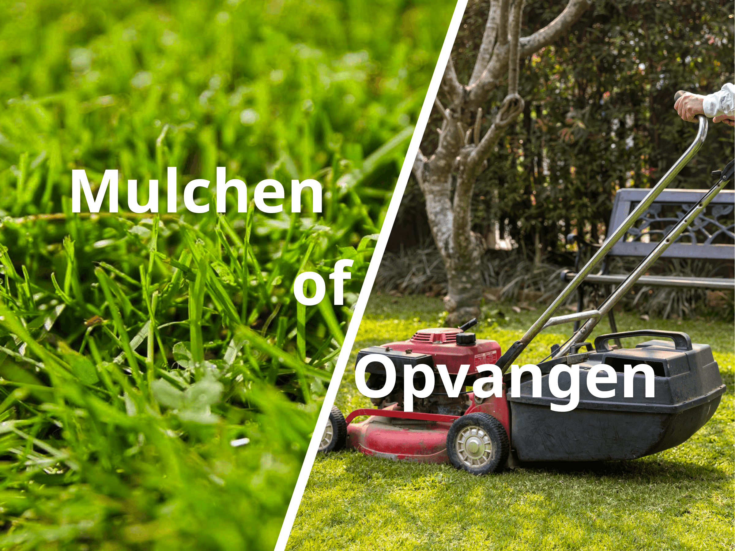 Vergelijking mulchen van grasmaaisel op het gazon versus opvangen van gras in de opvangbak van een grasmaaier