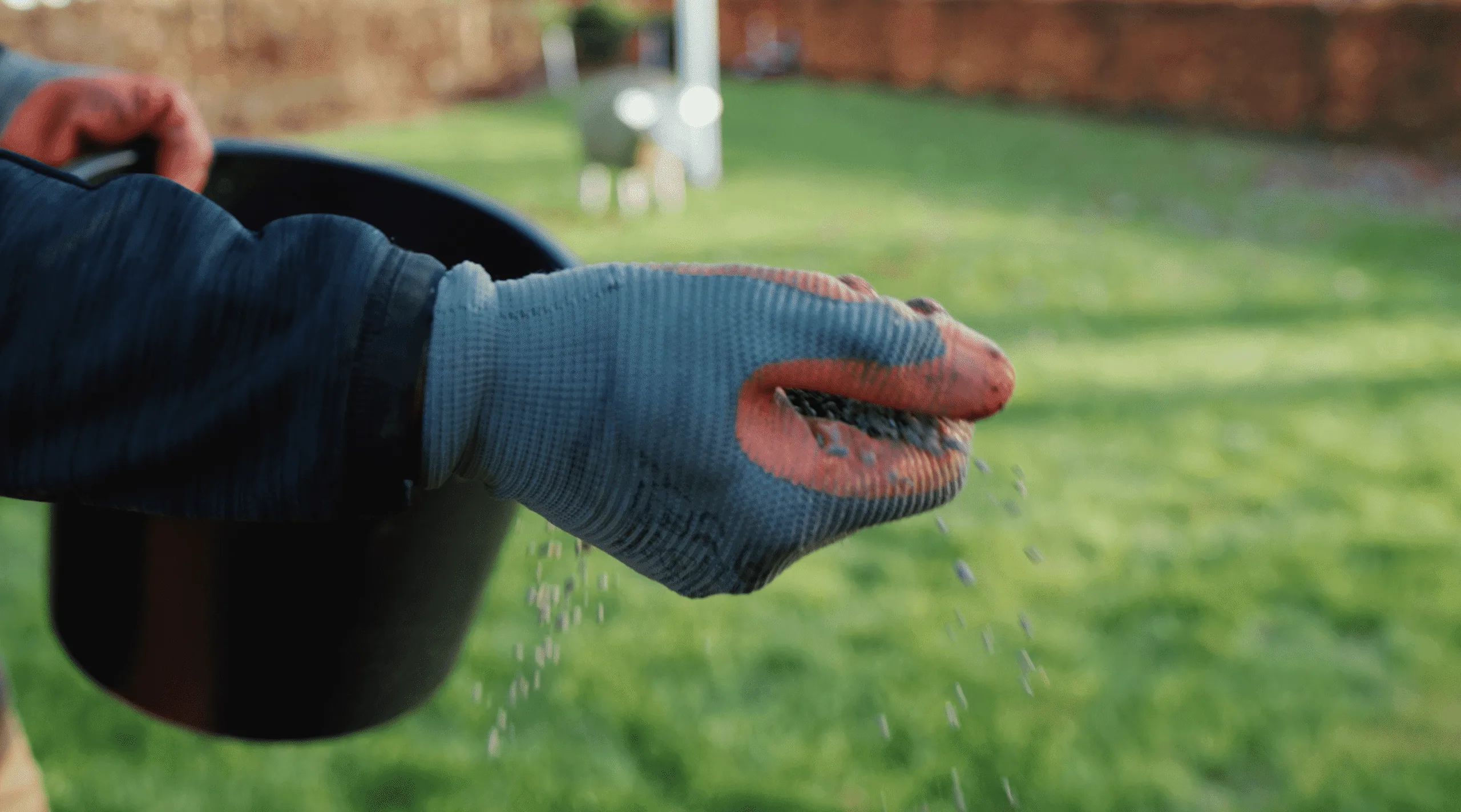 Persoon die handmatig bemesting strooit over het gazon