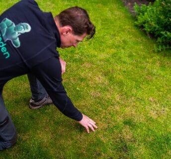 Graszodenkopen.nl specialist controleert gazon op roodraad
