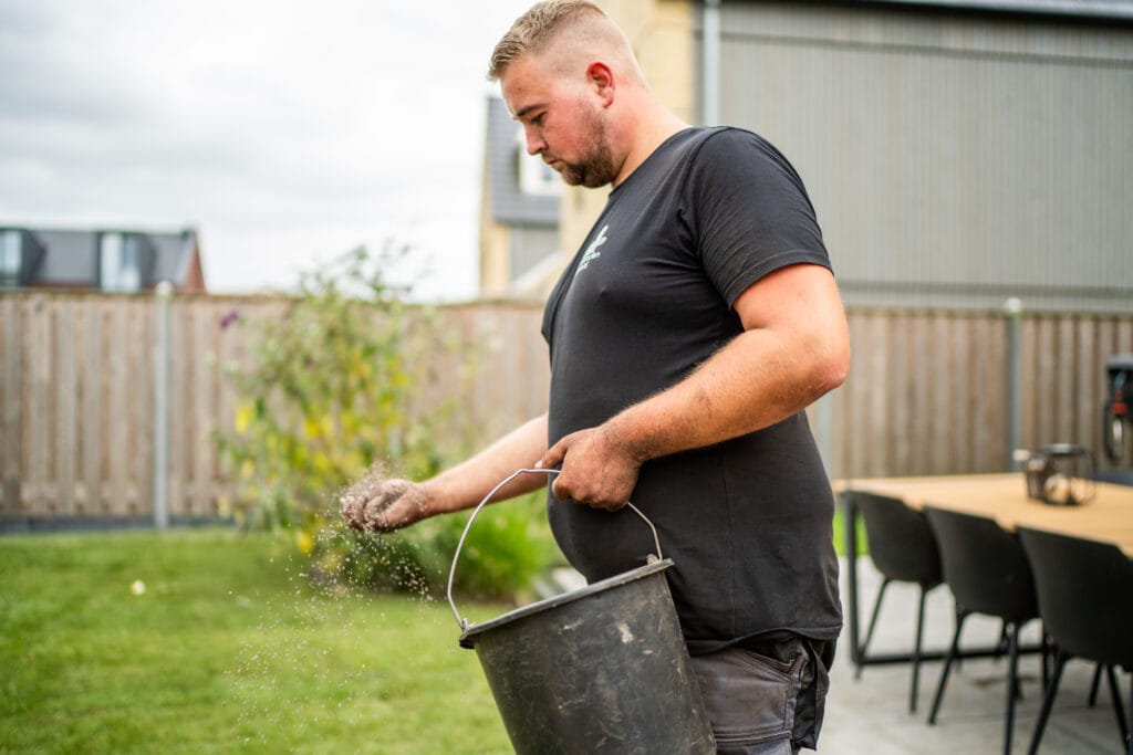 Op net gelegd gras wordt bemesting gestrooid