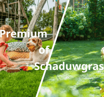 Vergelijking premium gazon met spelend meisje en hond versus schaduwgras in een beschaduwde tuin met bloeiende struiken