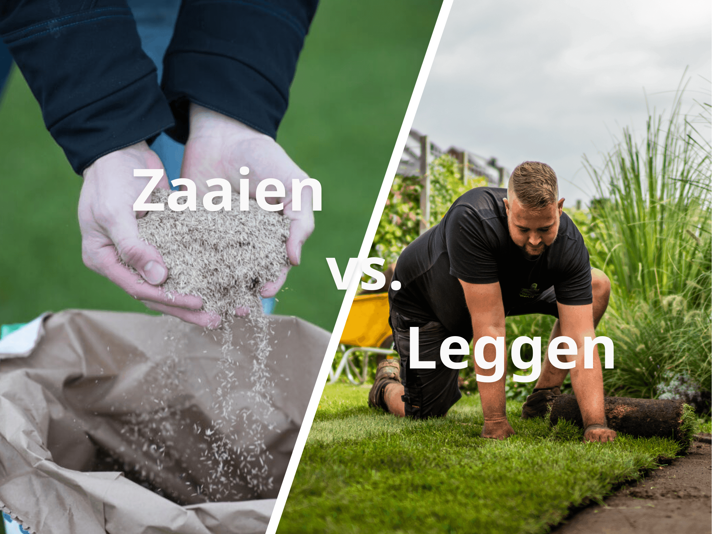 Vergelijking zaaien versus leggen van graszoden: links gras zaaien vanuit een zak, rechts het leggen van graszoden door een tuinier