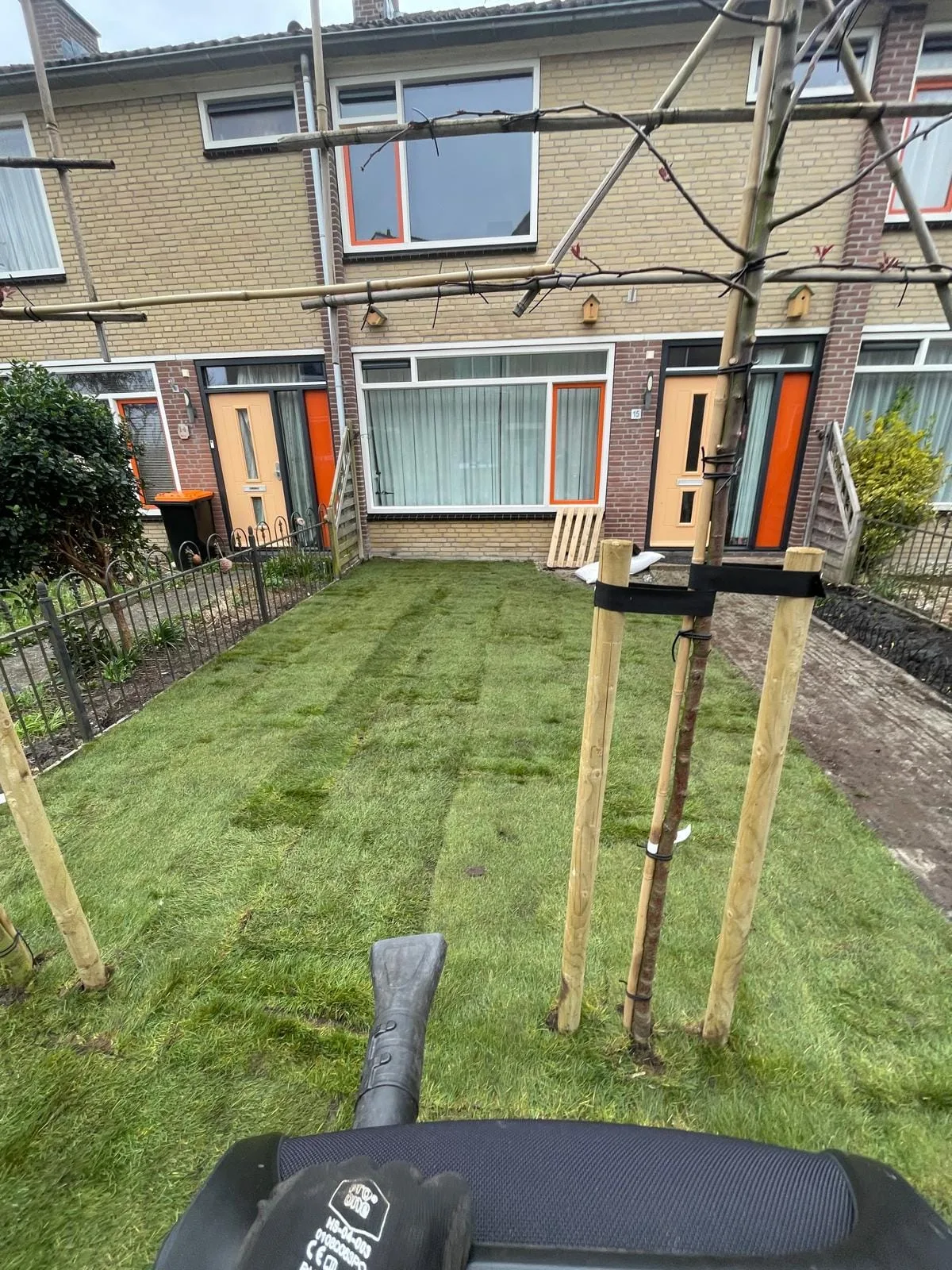 Rijnsburg 32 frezen met teelaarde