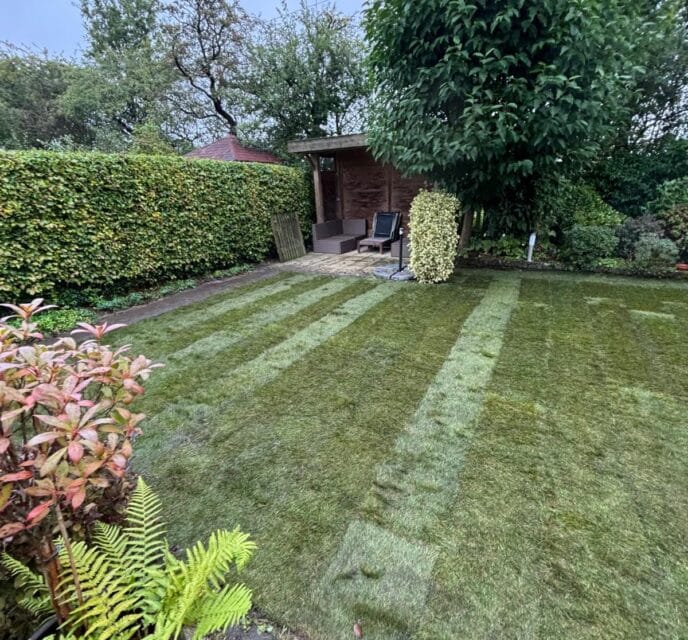 Rijswijk 49 verwijderen