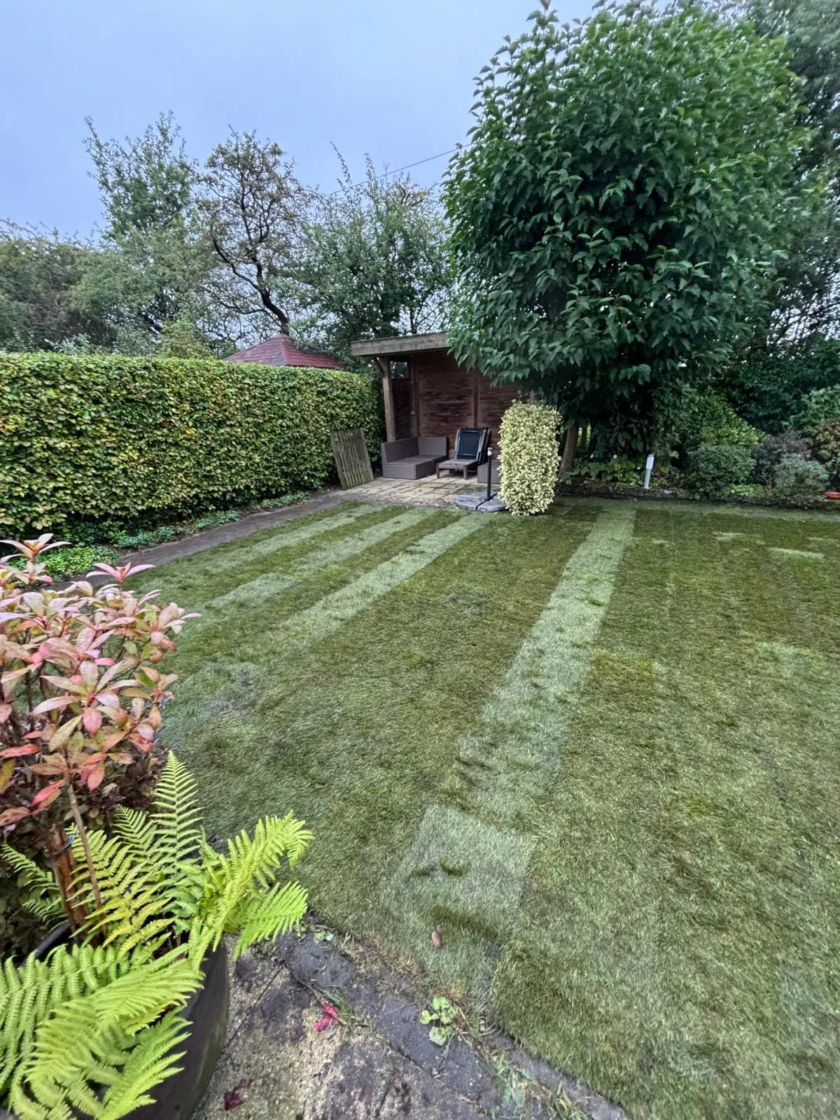 Rijswijk 49 verwijderen