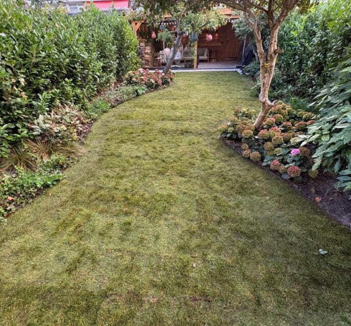 Rotterdam 55 m2 frezen