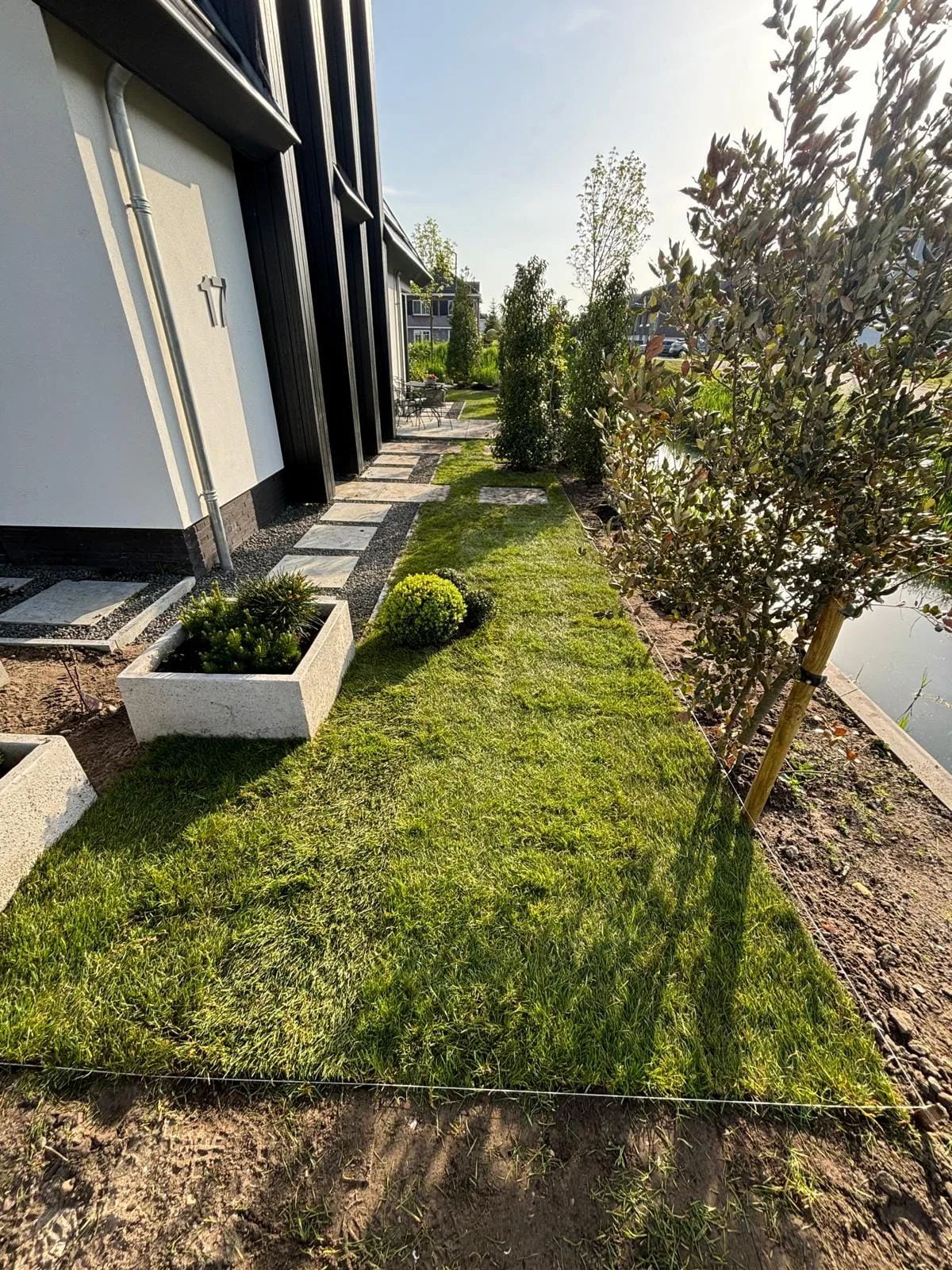 Rotterdam 75 frezen met teelaarde