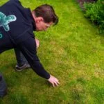 Graszodenkopen.nl specialist controleert gazon op roodraad