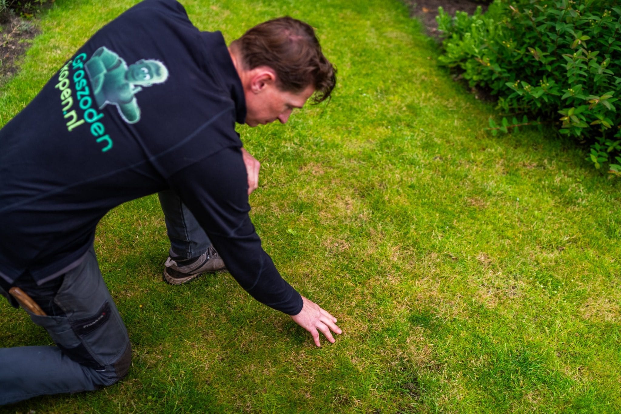 Graszodenkopen.nl specialist controleert gazon op roodraad